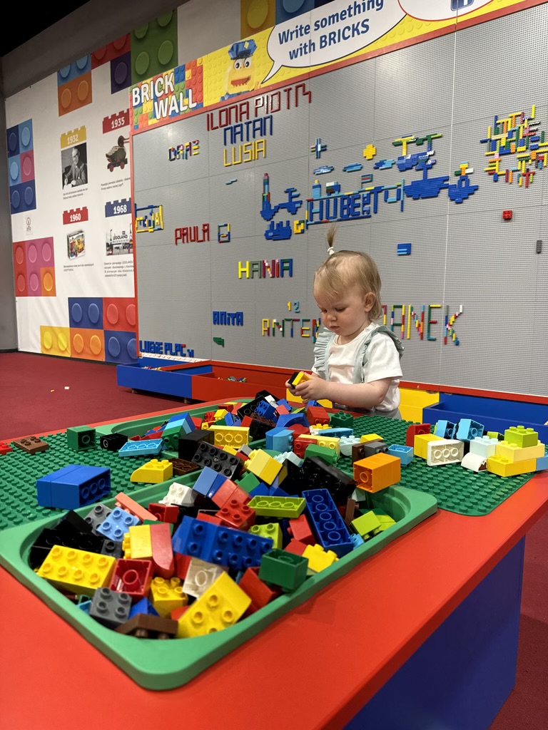 zdjęcie z osatniej strefy zabaw klock&oacute;w Lego